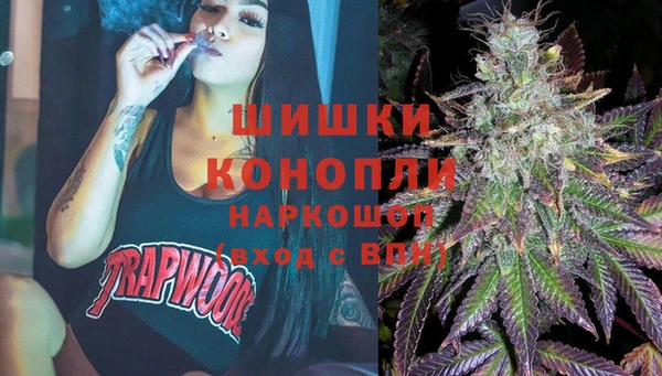 винт Пестово